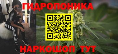 мяу мяу мука Тулун
