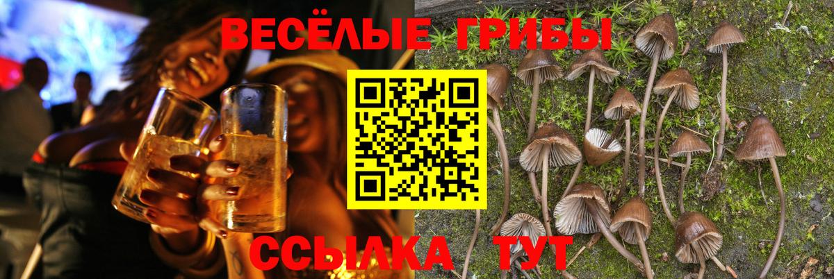 Галлюциногенные грибы мухоморы  Вход с VPN  Волжский  Псилоцибиновые грибы мицелий 