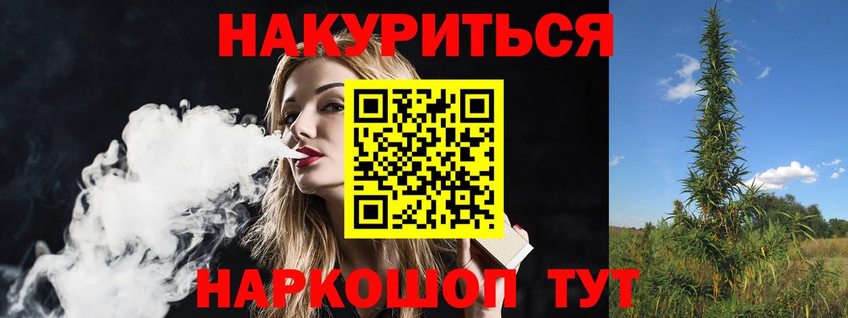 Каннабис конопля Волжский